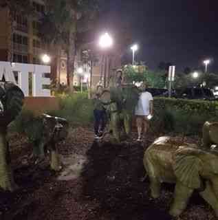 Service Partner (Lizbeth Velez Beltran)